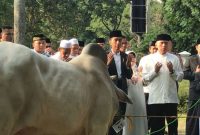 Foto (istimewa): Presiden Joko Widodo menyerahkan hewan kurban kepada Dewan Kemakmuran Masjid Baitul Faizin Cibinong, Rabu (22/8)