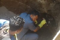 Kanit Identifikasi Polres Sikka David Jeradu sedang melakukan identifikasi lokasi penemuan tengkorak di SDN Contoh Maumere, Jumat (28/9)