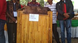 Kulkas organik dari Kecamatan Nele, dipajang saat Bursa Inovasi Desa, Kamis (11/10), di halaman Sikka Innovation Center