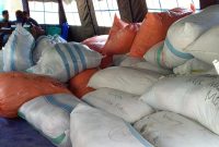Sejumlah bantuan yang disalurkan warga masyarakat Kabupaten Sikka untuk korban bencana Sulteng ditamnpung di Posko Bencana Kantor Dinas Sosial Kabupaten Sikka