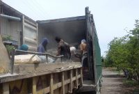 Aktifitas pembongkaran semen Bosowa di Gudang Perkapasan di Kelurahan Wailiti Kecamatan Alok barat, Selasa (27/11)