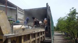 Aktifitas pembongkaran semen Bosowa di Gudang Perkapasan di Kelurahan Wailiti Kecamatan Alok barat, Selasa (27/11)