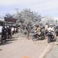 Pohon mangga tumbang menutup seluruh badan jalan, Minggu (2/12) di Desa Tanaduen Kecamatan Kewapante Kabupaten Sikka