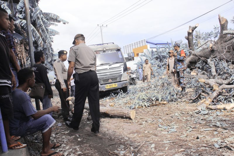 Gara-gara aksi pungutan liar dihentikan, warga sekitar menutup jalur alternatif di lokasi pohon tumbang di Desa Tanaduen Kecamatan Kangae Kabupaten Sikka, Senin (3/12)