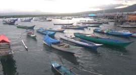 Ratusan kapal motor nelayan parkir di Pelabuhan Rakyat Wuring di Maumere