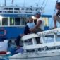 KLM Surya Jaya 03 yang diamankan Lanal Maumere di Pelabuhan Laurensius Say Maumere, Minggu (10/3) petang