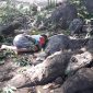 Posisi korban saat terjatuh dari pohon dompet di Kampung Hebing Dusun Hebing Desa Hebing Kecamatan Mapitara, Jumat (29/3)