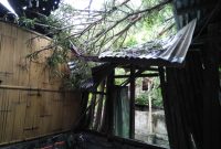Rumah warga di Watutedang Kecamatan Lela Kabupaten Sikka tertimpa pohin tumbang akibat hujan disertai angin kencang, Minggu (10/3)