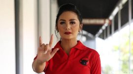 Krisdayanti