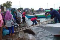 Seorang anak kecil yang hendak mudik ke Desa Kojadoi, Senin (3/6), terpaksa berjongkok di atas jembatan darurat untuk menuju ke kapal motor penumpang