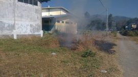Kebakaran rumput kering di dekat gudang logistik KPU Sikka, Kamis (27/6)