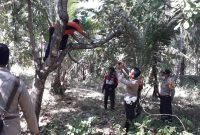 Unit Identifikasi Polres Sikka sedang melakukan olah tempat kejadian perkara gantung diri di Desa Heopuat Kecamatan Hewokloang, Rabu (17/7)