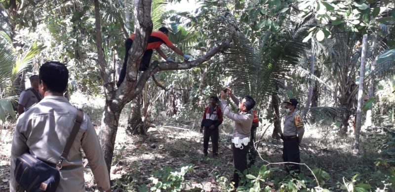 Unit Identifikasi Polres Sikka sedang melakukan olah tempat kejadian perkara gantung diri di Desa Heopuat Kecamatan Hewokloang, Rabu (17/7)