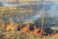 Hamparan rumput kering yang terbakar di Kelurahan Waioti, berdekatan dengan Bandara Frans Seda Maumere, Rabu (31/7)