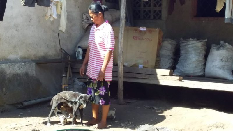 Pemilik anjing di Desa Egon Kecamatan Waigete sedang bersama anjing peliharaannya