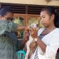 Vaksinasi hewan penular rabies di Kabupaten Sikka beberapa waktu lalu