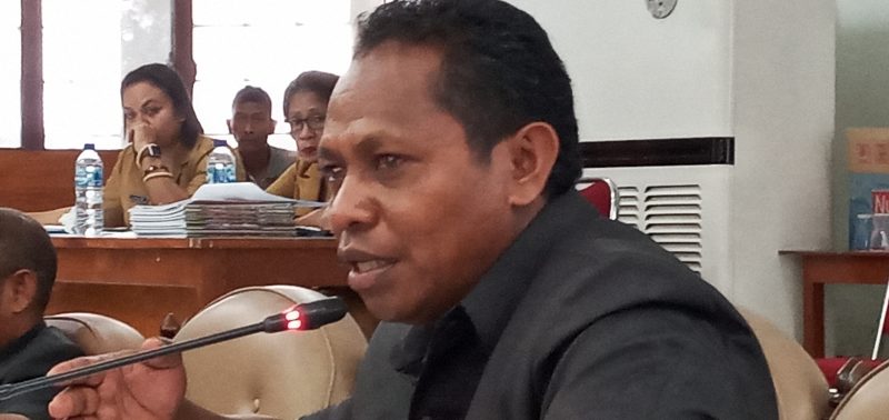 Anggota Fraksi Partai Hanura Wenseslaus Wege 