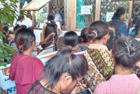 Ratusan pelamar CPNSD di Sikka sedang memasukkan dokumen persyaratan di Kantor BKDPSDM Sikka, Rabu (20/11)