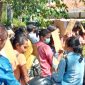 Ratusan pelamar CPNSD di Sikka sedang antri di Kantor BKDPSDM, Senin (25/11)