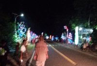 Pohon Natal di sepanjang ruas Jalan Trans Flores Maumere-Ende, persisnya di Kelurahan Nangalimang