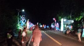 Pohon Natal di sepanjang ruas Jalan Trans Flores Maumere-Ende, persisnya di Kelurahan Nangalimang