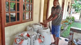 Aloysius Kristianus memperlihatkan benih kacang tanah tanpa label yang diisi di dalam karung pakan ayam, Kamis (9/1)