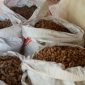 Benih kacang tanah tanpa label yang diisi di karung pakan ayam
