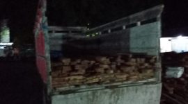 Sejumlah 1,6 kubik kayu tanpa dokumen diamankan di Polres Sikka, Sabtu (25/1)