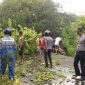 Pohon tumbang di Desa Egon, akibat hujan deras dan angin kencang, Sabtu (4/1) 