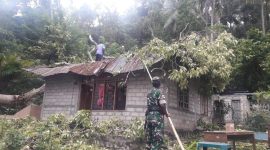 Suasana pembersihan rumah korban yang tertimpa pohon, Rabu (15/1)