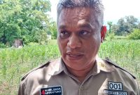 Bupati Sikka Fransiskus Roberto Diogo