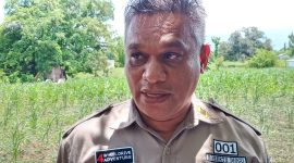 Bupati Sikka Fransiskus Roberto Diogo