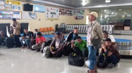 Puluhan TKI ilegal diamankan di ruang kedatangan Bandara Frans Seda Maumere, Selasa (11/2) pagi