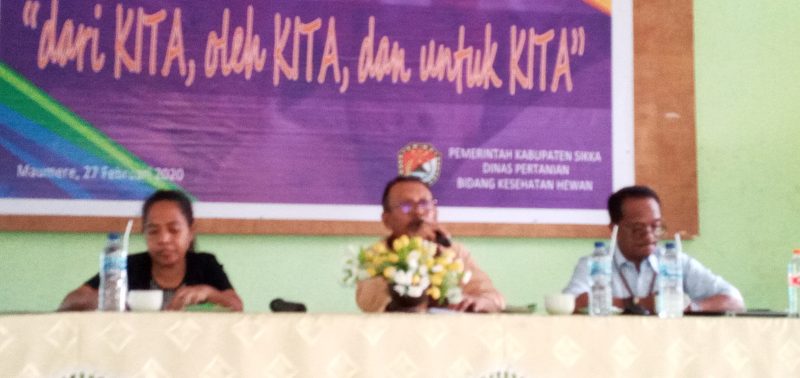 Kepala Dinas Pertanian Kabupaten Sikka Mauritz da Cunha