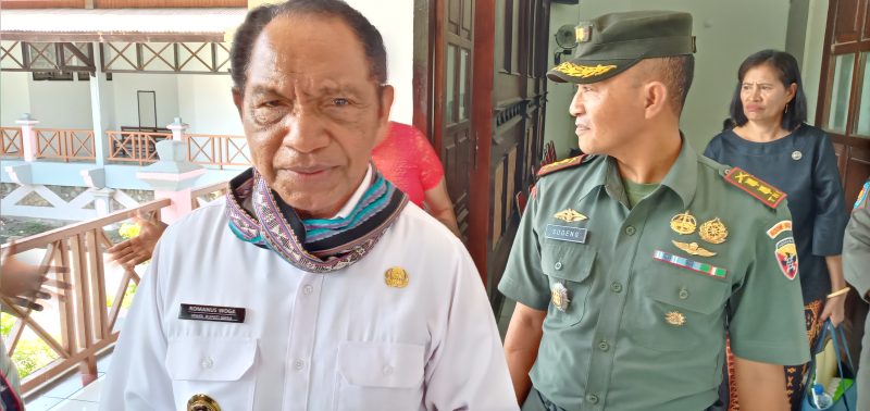 Wakil Bupati Sikka Romanus Woga