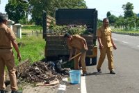 Kabag Organisasi Setda Sikka dan staf sedang mengangkut sampah di depan Kantor Bupati Sikka, Senin (9/3)