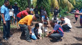 Julie Laiskodat sedang menanam pohon kelor di Rujab Bupati Sikka di Jalan Eltari, Minggu (15/3)