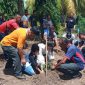 Julie Laiskodat sedang menanam pohon kelor di Rujab Bupati Sikka di Jalan Eltari, Minggu (15/3)