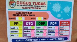 Data perkembangan virus corona di Kabupaten Sikka, Jumat (17/4)