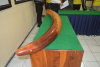 Barang bukti gading yang berhasil diamankan