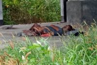 Penemuan mayat di lokasi TMP Kelurahan Alok, Rabu (6/5)