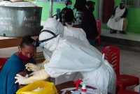 Pelaksanaan swab terhadap seorang bayi di Desa Pemana, Senin (18/5) (foto: istimewa)