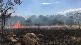 Suasana kebakaran pada hutan lindung di Desa Hoder Kecamatan Waigete, Selasa (14/7) (foto: istimewa)