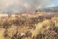 Suasana kebakaran pada hutan lindung di Desa Hoder Kecamatan Waigete, Selasa (14/7) (foto: istimewa)