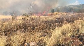 Suasana kebakaran pada hutan lindung di Desa Hoder Kecamatan Waigete, Selasa (14/7) (foto: istimewa)