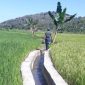 Jaringan irigasi di Kecamatan Paga (foto: istimewa)