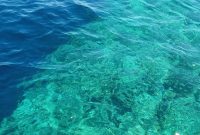 Penampakan antara dasar laut dan patahan di perairan Pulau Babi