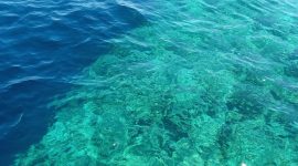 Penampakan antara dasar laut dan patahan di perairan Pulau Babi