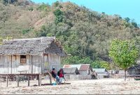 Rumah-rumah warga masyarakat di Pulau Babi 