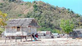 Rumah-rumah warga masyarakat di Pulau Babi 